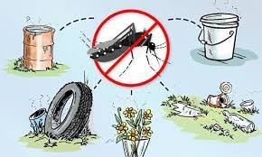 Cẩm nang phòng chống dịch sốt xuất huyết