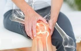 Ngày Phòng, chống loãng xương thế giới – World Osteomalacia day  20/10/2024