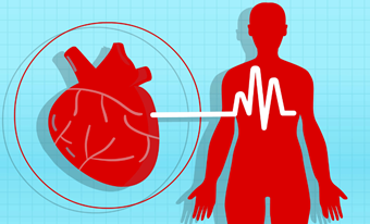 Ngày Tim mạch Thế giới : Dùng trái tim hiểu trái tim