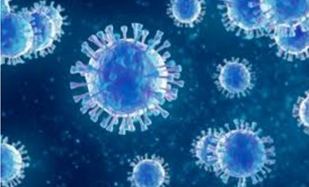 Thông tin về tình hình dịch bệnh COVID- 19