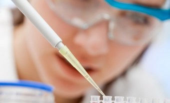 Nuôi cấy thận thành công từ tế bào gốc