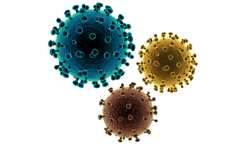 Video hướng dẫn đeo khẩu trang và Video hướng dẫn vệ sinh tay  của Bộ Y tế